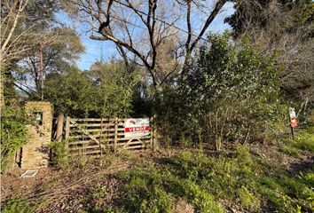 Terrenos en  Campana, Partido De Campana