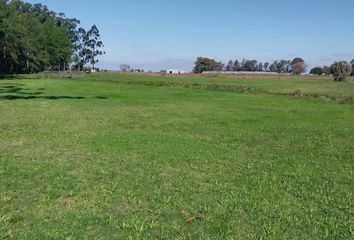Terrenos en  Santa Ana De Los Huácaras, Corrientes
