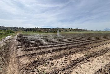 Lote de Terreno en  San Francisco Yancuitlalpan, Huamantla