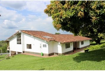 House for rent in Cerritos, Pereira