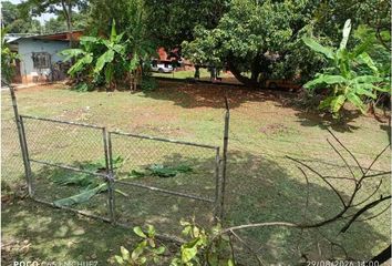 Lotes y Terrenos en  Nuevo Belén, Ciudad De Panamá