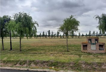 Terrenos en  Coronel Brandsen, Brandsen