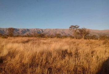 Terrenos en  Villa De La Quebrada, San Luis
