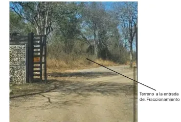 Lote de Terreno en  Carretera Montemorelos - Rayones, El Naranjo, El Pastor, Montemorelos, Nuevo León, México
