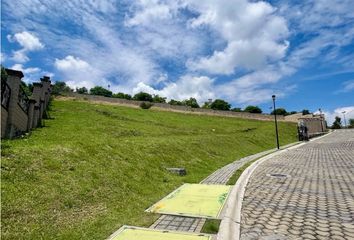 Lote de Terreno en  Ocoyucan, Puebla