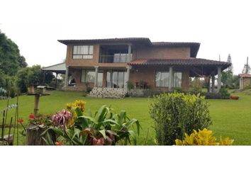 House for rent in Centro, Pereira