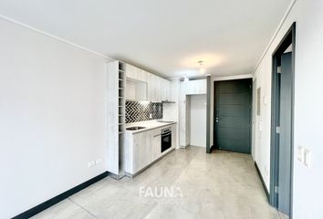 Departamento en arriendo en Ñuñoa