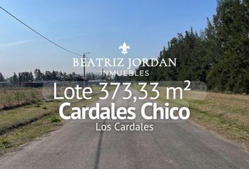 Terrenos en  Alto Los Cardales, Partido De Campana