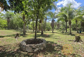 Casa en  Tixcacalcupul, Yucatán