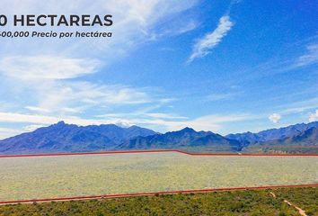 Lote de Terreno en  Portales, Cabo San Lucas