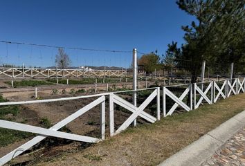 Lote de Terreno en  Los Chirlitos I, Lagos De Moreno, Jalisco