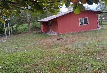House for rent in Mundo Nuevo, Pereira
