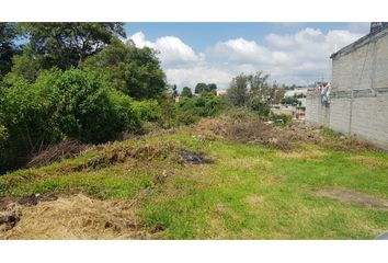 Lote de Terreno en  Coatepec Harinas, Estado De México