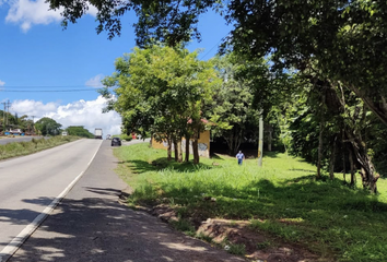 Finca/Hacienda en  Barrio Colón, La Chorrera