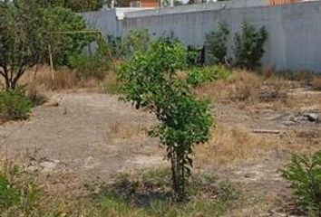 Lote de Terreno en  Cienega De Flores Centro, Ciénega De Flores