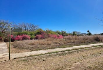 Lote de Terreno en  Rancho O Rancheria Cofradía De Suchitlán, Comala