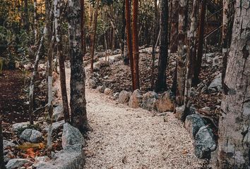 Lote de Terreno en  Coba, Tulum