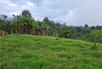 Villa-Quinta en  Circasia, Quindío