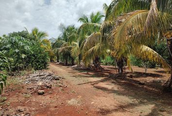 Lote de Terreno en  Seyé, Yucatán