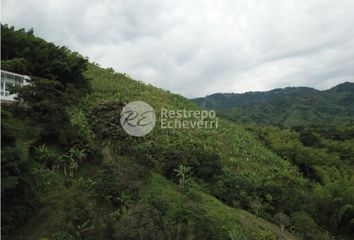 Villa-Quinta en  La Trinidad, Manizales