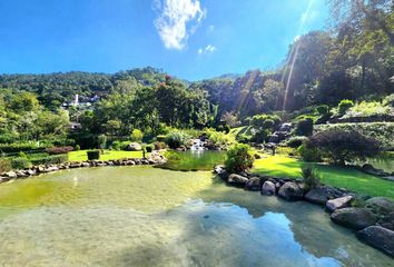 Lote de Terreno en  Avenida El Manguito, Monte Alto, Valle De Bravo, México, 51229, Mex