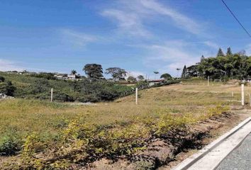 Lote de Terreno en  Caldas, Centro Norte, Santa Rosa De Cabal