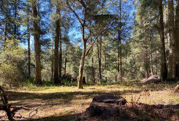 Lote de Terreno en  Mineral Del Monte, Hidalgo