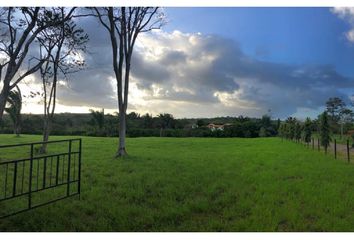 Lotes y Terrenos en  Barrio Colón, La Chorrera