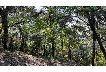 Lote de Terreno en  Santa María Ahuacatlan, Valle De Bravo