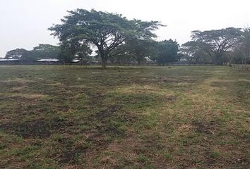 Lote de Terreno en  Caucaseco, Palmira, Valle Del Cauca, Col