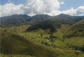 Villa-Quinta en  Urrao, Antioquia