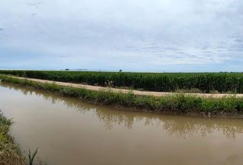 Lote de Terreno en  Popular, Navolato