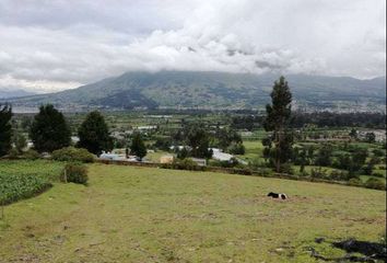 Terreno Comercial en  5qjw+fjj, González Suárez, Ecuador