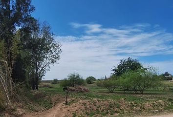 Terrenos en  Victoria, Entre Ríos