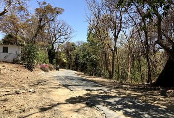 Lotes y Terrenos en  Saboga, Balboa