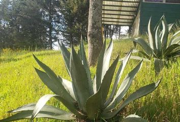 Lote de Terreno en  Cerrada Nayarit, Los Saúcos, Valle De Bravo, México, 51204, Mex