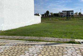 Lote de Terreno en  Avenida 27 Poniente, Los Volcanes, Puebla, 72410, Mex