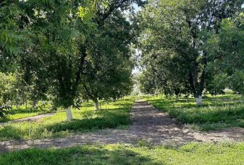 Lote de Terreno en  Pedro Meoqui, Chihuahua