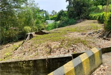 Lote de Terreno en  Centro, Manizales