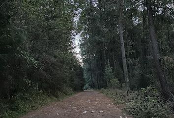 Lote de Terreno en  Mineral Del Monte, Hidalgo