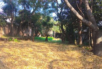 Lote de Terreno en  Rancho Cortes, Cuernavaca, Morelos