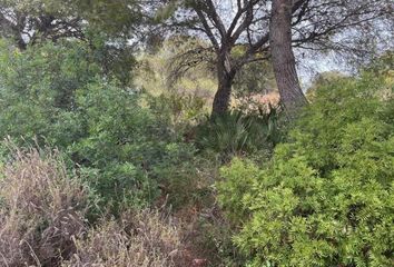 Terreno en  Xàbia/jávea, Alicante Provincia