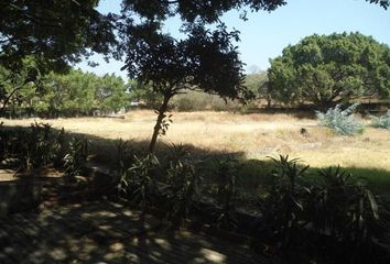 Lote de Terreno en  La Pradera, Cuernavaca, Cuernavaca, Morelos