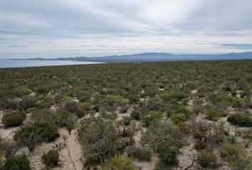 Lote de Terreno en  23232, La Paz, Baja California Sur, Mex