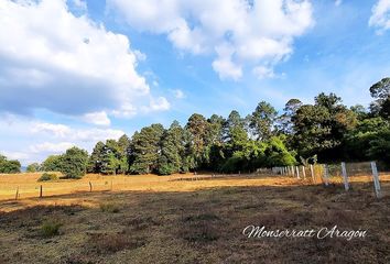 Lote de Terreno en  Valle De Bravo, México, Mex