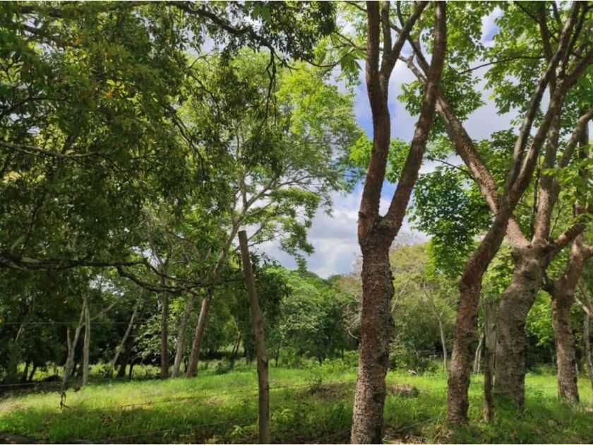 venta Finca/Hacienda en Las Tablas, Las Tablas (5216642)