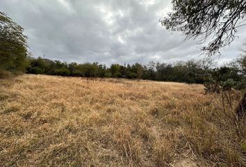 Lote de Terreno en  Montemorelos Centro, Montemorelos