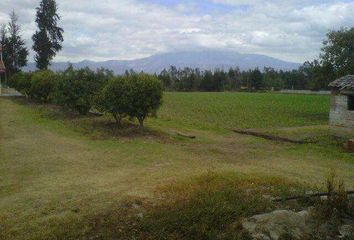 Terreno Comercial en  Edificio Banco Solidario, Av. Río Amazonas, Quito 170135, Ecuador