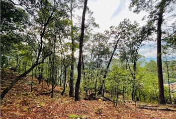 Lote de Terreno en  Avándaro, Valle De Bravo