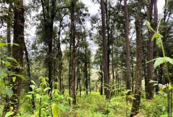 Lote de Terreno en  Avándaro, Valle De Bravo